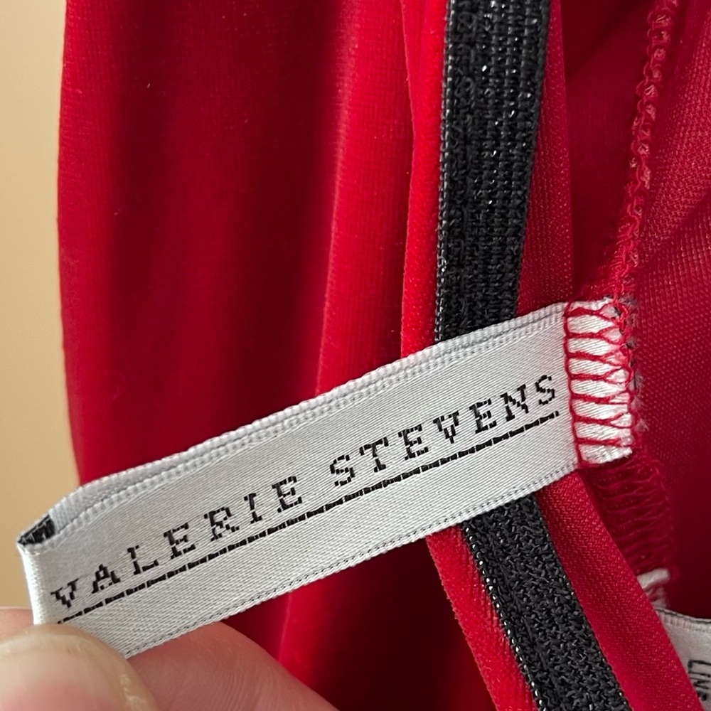 Valerie Stevens Scarlet Velvet Slip Dress size large - Picture 9 of 10